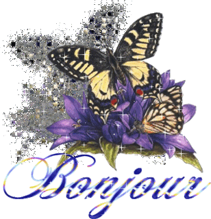 Gif animé bonjour papillon
